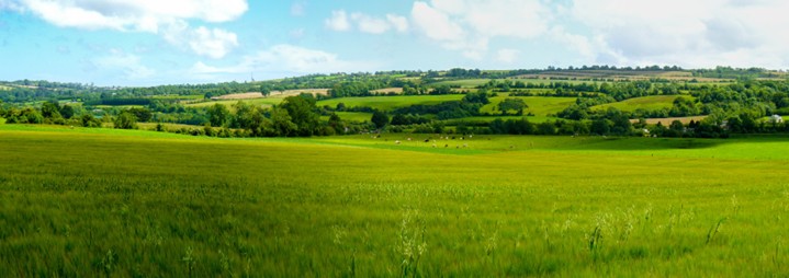 Superior Farms
